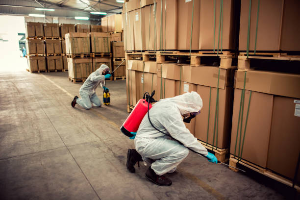 Best Cockroach Control Services  in Millersville, TN