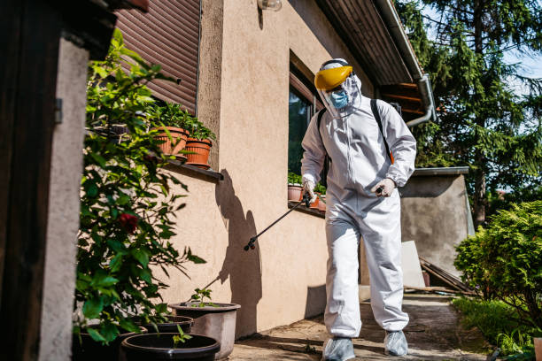 Best Affordable Pest Control Services  in Millersville, TN
