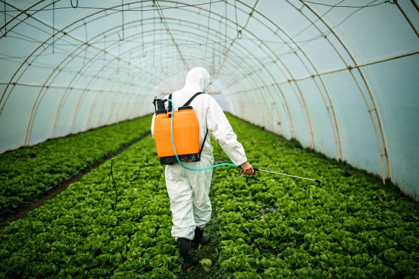 Pest Prevention Services in Millersville, TN