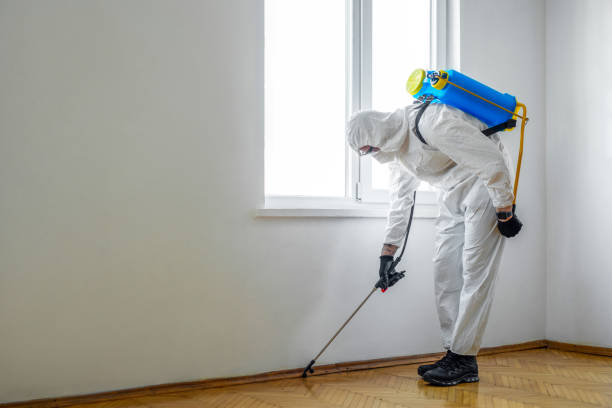 Best Pest Control Treatment  in Millersville, TN