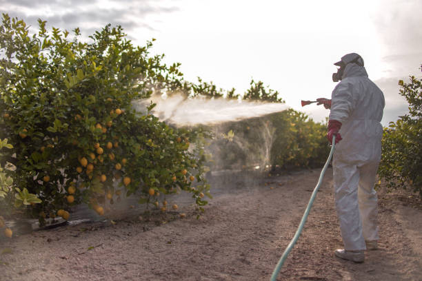 Best Mosquito Control Services  in Millersville, TN