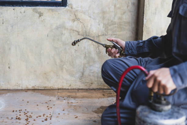 Best Exterminator Services  in Millersville, TN